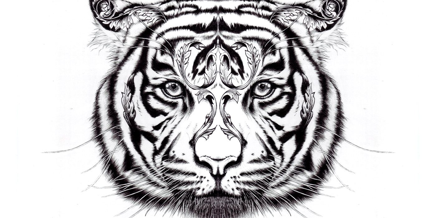 Hand drawn tiger illustration, pen and ink